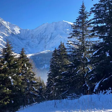 Appartement T2 Avec Piscine à Saint-Gervais-les-Bains